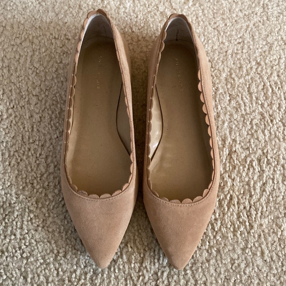 Ann Taylor Suede Scallop Pointy Toe Flats